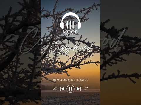 Driftwood Dreams: Lofi Lullabies for Relaxation