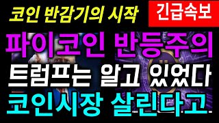 [파이코인] 반감기 시작, 트럼프는 알고있었다,#파이코인 #파이코인kyc #파이코인거래