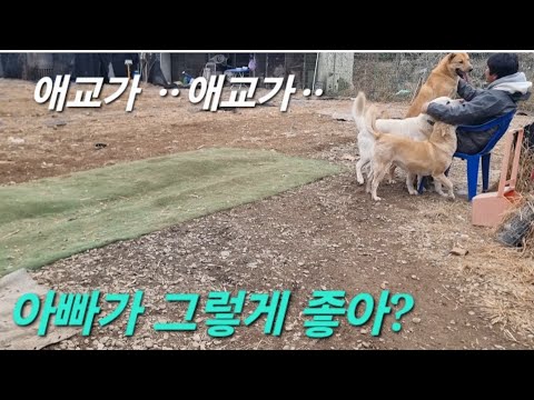 나의 예쁜 애교쟁이들ᆢ