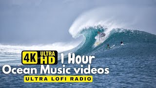 Relaxing Music Healing Music With Nature Sound for Stress Relief Waves 🐬 Calming Baby4K