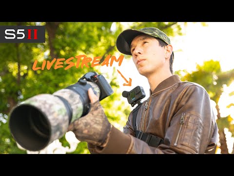 LIVE Wildlife Photography Experience w/ S5II