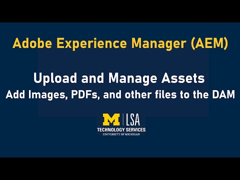 AEM Training: Upload images and files to the Digital Assets Manager (DAM)