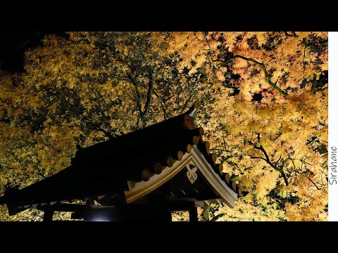 仕事帰りに絶景を見に行く　アレクサの嘘