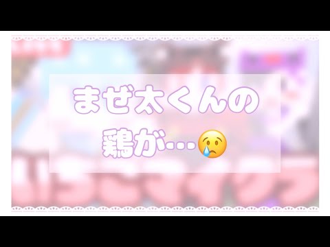 【 #いちごマイクラ 】#まぜ太くん のペット全滅事件𓂃𓈒💜 #どまとはWIN