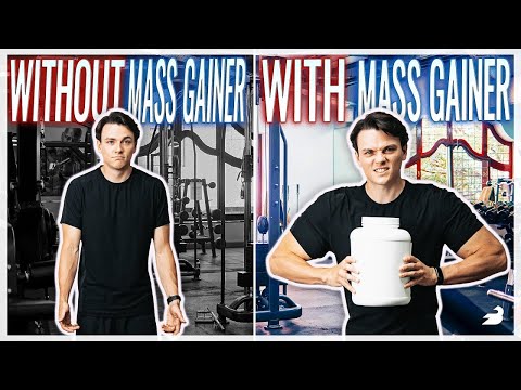 Gain Central Station — The BEST Mass Gainers in 2024