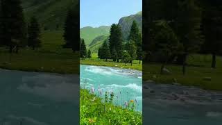 Tangbula Scenic Gallery: Capture the Moment,  Feel the Joy #meditationmusic#sleepmusictuneone