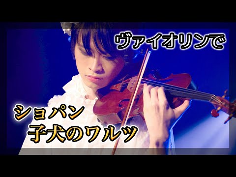 ショパン『子犬のワルツ』をバイオリンで弾いてみた
