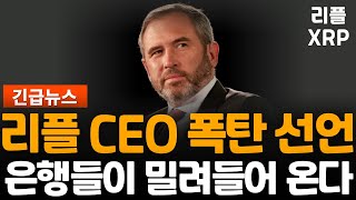 ※긴급속보※ 리플 브레드갈링 하우스 발언 집중!