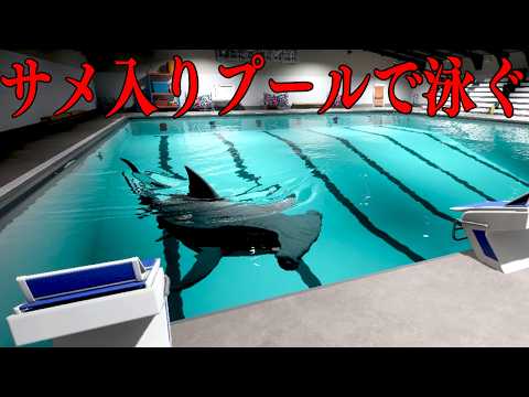 トラウマになる「殺人サメがいるプールを泳いで脱出するホラーゲーム」【Sharks and Minnows】