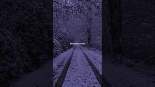 Middle of the night - elley duhe | lyrics | slowed | reverbed | #music #nomoresadsongs #chillsongs