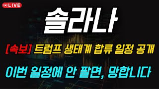 [솔라나 코인 호재] 💥트럼프 생태계 합류 일정 공개!💥 이번 일정에서 안 팔면, 본전도 못 찾습니다..
