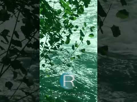 30 seconds of COMPLETE PEACE AND CALM shorts
