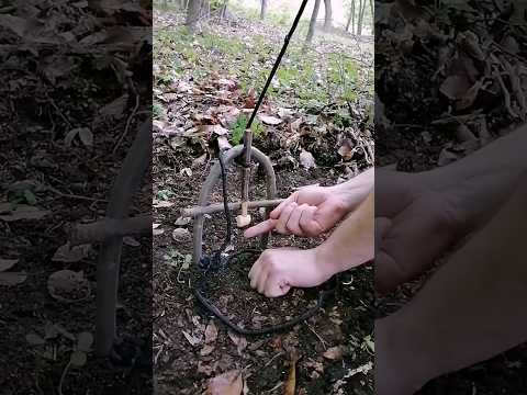 trap #bushcraft #trap #survival