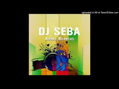 CUMBIAS MIX FOR DJ SEBA 2024