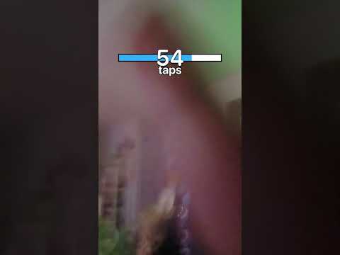 Am I fast?