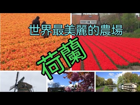 世上最美農場在荷蘭