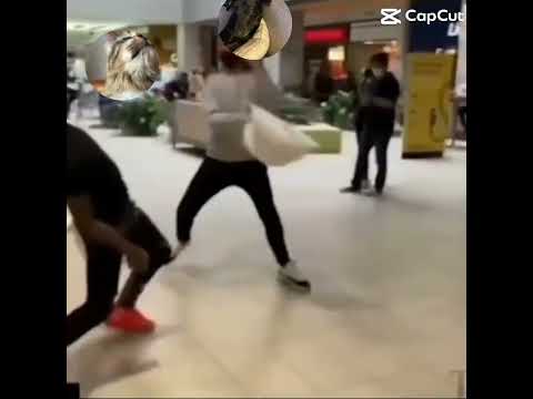 Just an average cat and #dog fight
