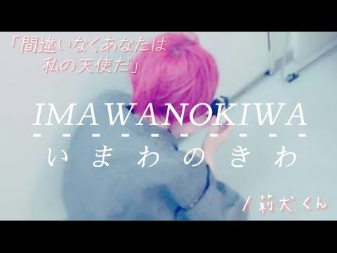莉犬さんでIMAWANOKIWA