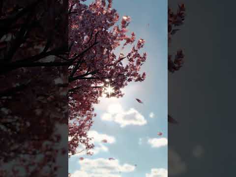 Nature Vibes | Relaxing Flowers 🌸 | Relax & Unwind | Chill Music to Relax