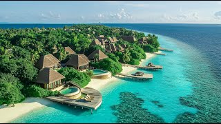 Tropical Escape 🌴 Chill Beats For A Good Day