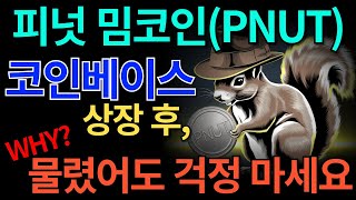[피넛 밈코인] 코인베이스 상장 후 떡락?... 너무 걱정하지 않아도 된다!!