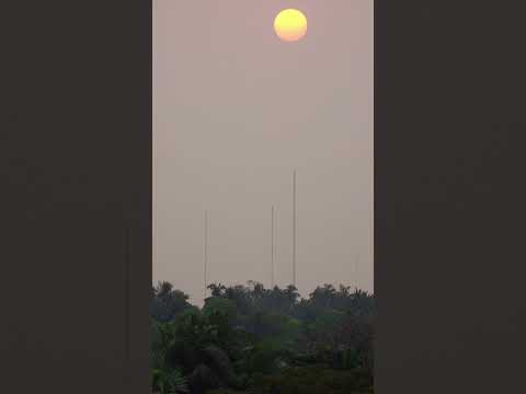Sun #telephoto #zoom #100x photography #zoomtest #nature #trending #photographer #wildlife #s25ultra