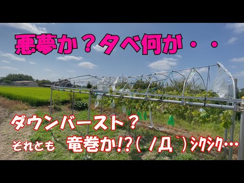 悪夢か？突風被害