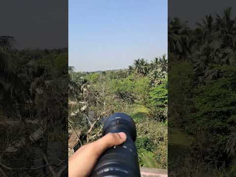 #telephoto #zoom #100x photography #zoomtest #nature #trending #photographer #wildlife #s25ultra