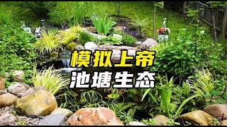 上帝模拟器：历时400天在花园里打造一个池塘生态系统# 生态缸 # 减速带 # 上帝模拟器