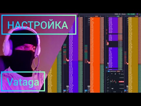БАЗОВАЯ НАСТРОЙКА ТЕРМИНАЛА VATAGA