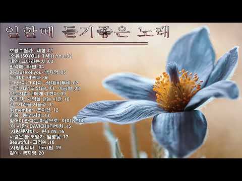 발라드 명곡 💖 BEST TOP 100 베스트 발라드 모음 양파 🎶 지친 마음을 위로하는 노래 김필,양파, 이승기,왁스,김범수,소울스타,원티드,숙희,린,민경훈,문명진,루다,더씨야
