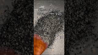 쾌변의 비결! 검은깨 검은콩 오트밀죽!!!