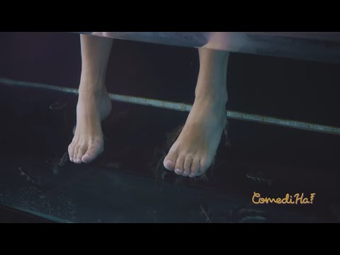 POOR FISHES // LOL COMEDIHA!