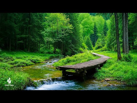 Soothing, relaxing music reduces stress and stops thinking too much