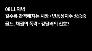 0811 갈수록 과격해지는 시장 - 변동성지수 / Gold, 채권