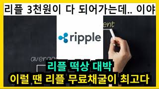 리플코인 떡상 대박 무료채굴 방법