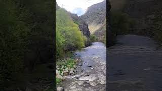 Hypnotic experience of river Debet, Armenia 🙌 amazing 😍