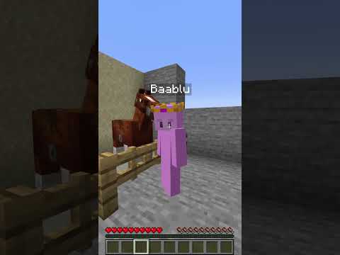 Pig or Horse?