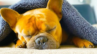 Relaxing piano music for mindfulness, Deep sleep music, Clear mind, Stress relief. 1 hour