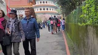 淡水天元宮吉野櫻花季！北台灣賞櫻最熱門景點，天壇周圍吉野櫻大約在3月到4月盛開，雄偉的天壇與櫻花相互眏襯非常值得一遊！感謝觀看支持請訂閱分享按讚唷謝谢