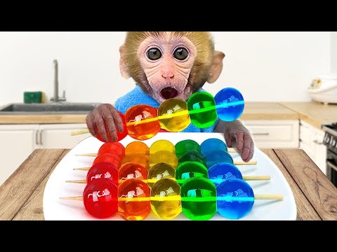 🔴LIVE- Monkey Baby Bon Bon eats rainbow jelly with puppies and bathes with ducklings in the bathroom