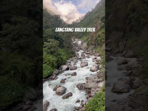 Langtang Valley Trek ll Langtang National Park ll Nepal