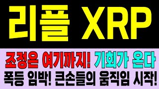 [리플 XRP] 폭등임박! 큰손들의 움직임 시작되었습니다. '여기'서 기회 잡으세요
