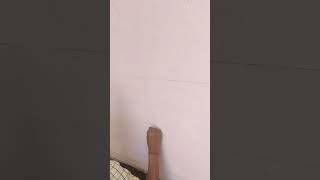 #hitpunjabisongs