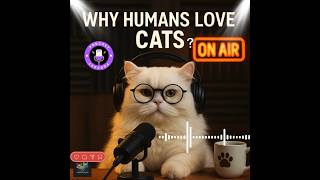 Why Do Humans LOVE Cats So Much? @WildPixels_Lab #shortsyoutube #podcast #podcastshorts