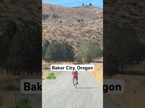 Baker City: Art, Heart, & the End of Flixbus Service 🚍 #StopRequested