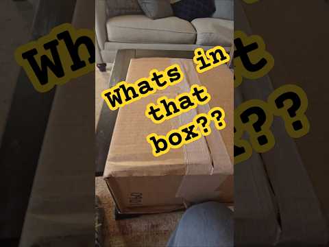 I won a raffle! Jordan 1 Union LAs! #90skids  #90s  #sneakerhead #sneakers #23 #jordan #nike #shoes