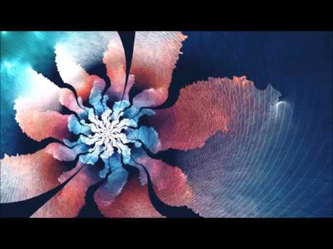 Coleção - Cassiano
