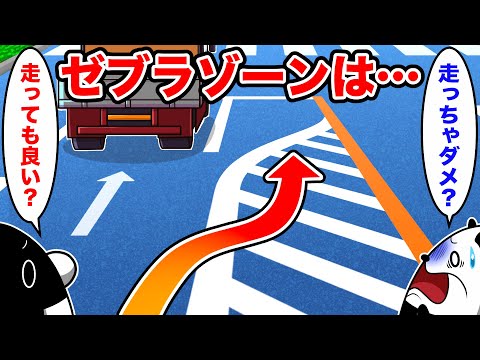 【知らないと事故る】ゼブラゾーンは走行可能！？〜実は知られていない道路交通法４選〜【アニメ】