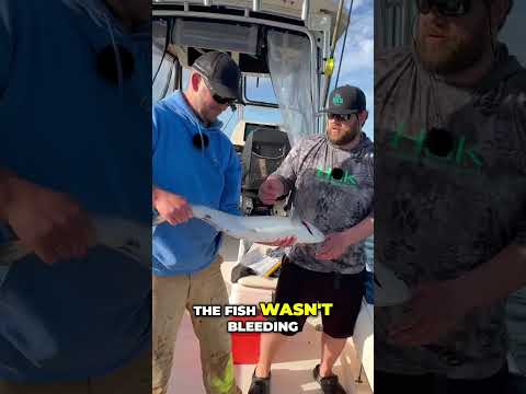 Salmon Catch & Release!